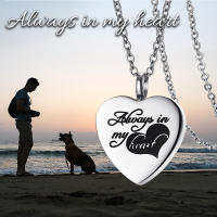 Collar De Memoria Para Ashes Joyería De Cremación Con Colgante De Corazón En Acero Inoxidable Para Pequeños Animales - details 4