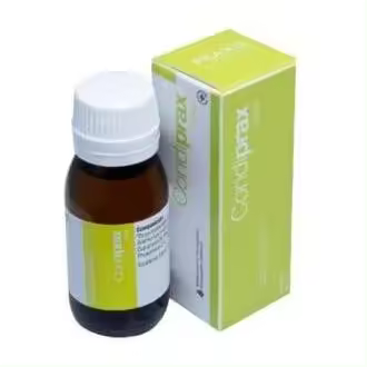 Praxis Condiprax Gotas 60Ml - 1