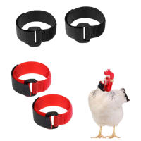 4 Pcs Collar De Cuello Para Gallo De Nylon Sin Ruido Suministros Para Granjas Gallo Rojo Correa Para Animales De La Granja - details 6