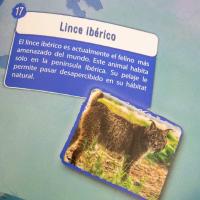 Science4you - Globo Terráqueo y Atlas Mundial con Libro Educativo, Globo Girable - details 6