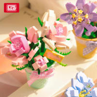 Bloques De Construcción 3D LOZ Plantas Suculentas Cactus Y Rosas Juguete De Artesanía Para Decoración Del Hogar Juguetes De Bloques Para Niños - details 3