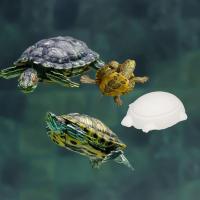 COTTECOTA-2 Piezas Bloque de Calcio para Tortugas Food Grande Realzando el Caparazón de la Tortuga Natural Complemento Básico Calcio para reptiles Calcio para mascotas - details 1