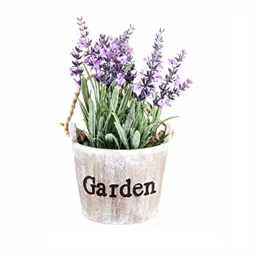 DAMDAM GO  Maceta Lavanda Fibra con asa de Cuerda - 1