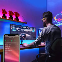 Tiras LED USB Bluetooth Control Por App Luzes RGB Flexibles Para TV Decoración De Habitaciones Fita Diode 5050 Para Retroiluminación De TV - details 3