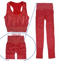 Conjunto de yoga para mujer - Deportivo de 2 Piezas sin Costuras  - Top Deportivo y Pantalones Largos de Cintura Alta para levantar la cadera - Buena elasticidad - Ropa de Entrenamiento - primavera y otoño - 26G38 - details 0