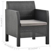vidaXL Set de muebles jardín 2 piezas con cojín PP ratán gris antracita - details 6