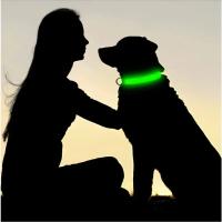 Collar LED Para Perros Ajustable Y Recargable Collar Nocturno Anti-Pérdida Para Pequeños Perros Productos De Mascotas - details 19