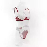 Lencería Sexy De Contraste Negro Y Blanco Conjunto De 2 Piezas Translúcido Con Bordado En Forma De Corazón Y Lazo Sujetador Y Brief Para Mujer - details 24
