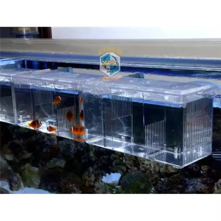 Caja De Cría Para Pequeños Peces Acrílico De Acrílico Para Acuario Separación De Peces Pequeños Caja De Aire Para Peces Enfermos - 1