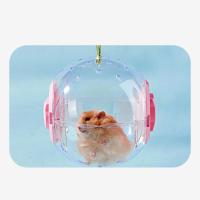 Bola De Ejercicio Para Hamsters Transparente Rueda De Correr Con Cuerda De Tracción Para Pequeños Animales De Compañía Suministros De Mascotas 14cm/18cm - details 6