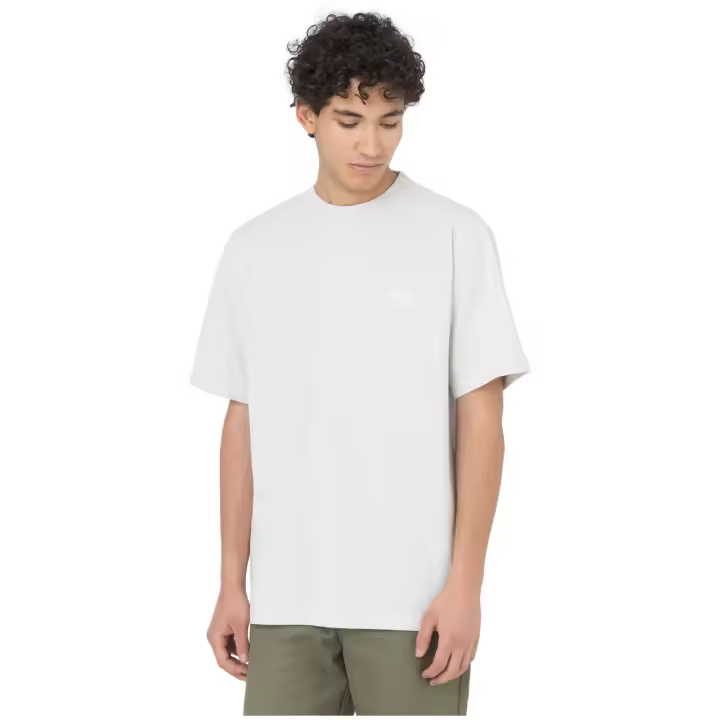 Camiseta Dickies Summerdale Light Gray - 1