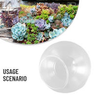 Micro Paisaje Vaso De Vidrio Transparente Para Plantas Succulentas Terrario Colgante Contenedor Hidroponía Maceta De Flores Decoración Para El Hogar Estilo Moderno - details 20