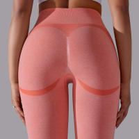 Mallas de Yoga de nailon para mujer, pantalones deportivos de cintura alta, elásticos, ajustados, transpirables, para entrenamiento - details 18