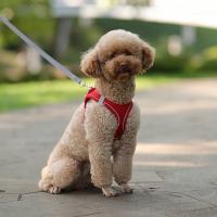 Juego De Correa Y Arnés Ajustable Para Perros Pequeños Vestido De Gato Pupilo Chihuahua Pug Bulldog Francesés Caminar Al Aire Libre - details 13