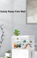 Pequeño Acuario Ecológico Para Sala De Estar Con Paisaje De Peces Alimentado Por USB Mini Acuario Doméstico De Plástico - details 2