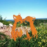 Decoración De Jardín Rustica De Animal: Arte De Sapo En Metal Para El Patio - details 4