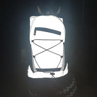 Mochila Reflectante Para Ciclismo Y Senderismo Deporte Al Aire Libre Gran Capacidad Motocicleta Correr Cross-Country Unisex - details 0