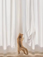 Cortina Impermeable Que Previene Que El Gato Arranque Para Sala De Estar Y Dormitorio Material De Poliéster 100% Translúcida - details 6