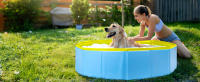 Nobleza - Piscina para Perros Grandes y Pequeños, Bañera Plegable Rigida Antideslizante para Mascotas, Gatos, 80*20cm, S, Azul - details 5