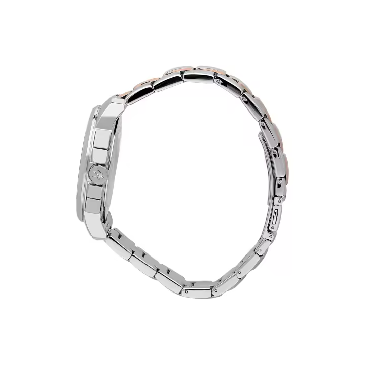 Reloj Hombre, Cronógrafo, De Cuarzo - R8873621008 - 1