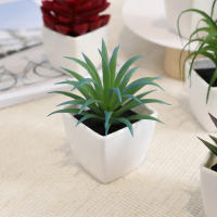 Mini Plantas Artificiales De Suculentas En Blanco Bonsái Set De 6 Piezas Para Decoración De Escritorio Y Ventana Interior - details 6