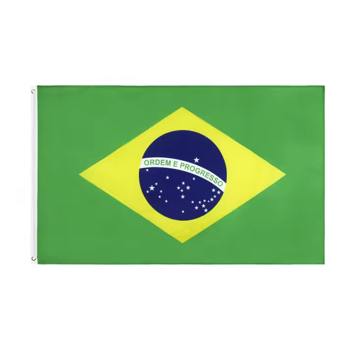 Bandera De Brasil 90x150 CM Para Decoración Material Poliéster Estilo Colgante Personalizable Flaglink - 1