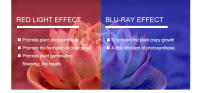 Bombilla De Crecimiento LED E27 Con Espectro Completo Para Plantas 60/126/200 Piezas Luz Roja Azul Para Cultivo Interior Flores Hidroponía Enchufe Phytolamp - details 2