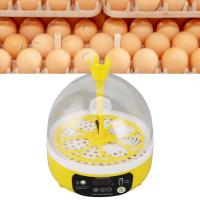 Incubador De Huevos Mini Para El Hogar Con Control Automático De Temperatura Y Humedad Máquina De Eclosionamiento De Pollos Pato Ganso 4 Casillas - details 6