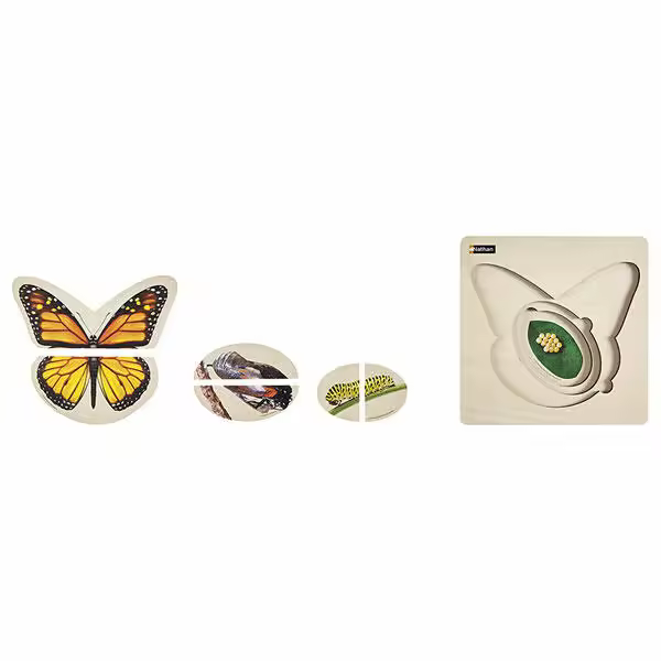 Puzzle por pisos - Ciclo de vida - Mariposa - 1