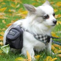Bolsa Portátil Para Entrenamiento De Perros Con Bolsillo Para Golosinas Y Residuos Eco-amigable Multifuncional Ligera Para Actividades Al Aire Libre Y Viajes Tamaño 12x8x8cm - details 7