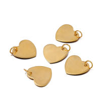 10Pcs Encantos De Acero Inoxidable Con Anillo De Salto Tag De Perro Corazón Redondo Ovalos Blancos Para Fabricación De Joyas DIY - details 4