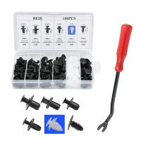 Juego De 100 Piezas De Gancho De Rivet Para Coche HE26 Clavija De Suspensión Reparación De Plásticos Panel Finalizador - details 9