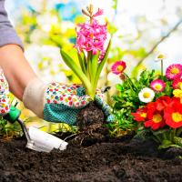 ✅ HM3 ALTA CALIDAD Sustrato universal 20 LITROS. CALIDAD PREMIUM AGRINATURA para plantas de interior y exterior. No necesita fertilización durante los primeros 3 meses, porque contiene todos los macro y micro nutrientes necesarios para el crecimiento. - details 1