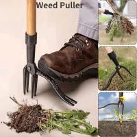 1PCS Reemplazo De Cabeza Para Rascar Malezas Pedal De Riego Rastrillo De Jardín Herramienta De Excavación Y Eliminación De Raíces - details 5