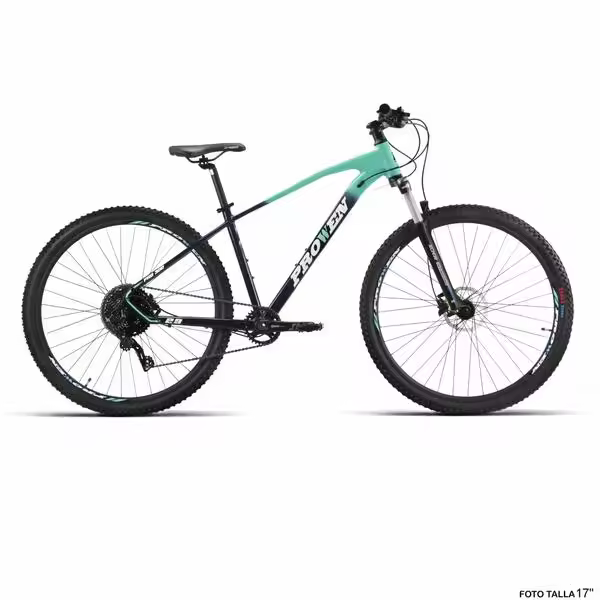 BICI 29" ALUM ANTRAC/MENTA "PROWEN" PRO300 11VEL talla M - 1