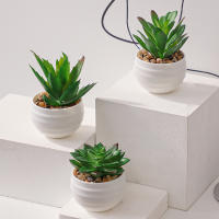 XIYA FLOWER Suculentas De Aloe Vera Artificiales En Estilo Moderno Con Maceta De Plástico Blanco Para Decoración Del Hogar Material PE - details 2