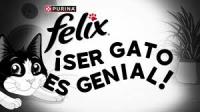 COMIDA HUMEDA GATOS PURINA FELIX FANTASTIC FESTIN DE MAR PACK 48X85g - details 1