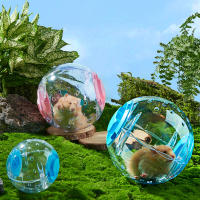 Juguete De Ejercicio Para Rattus Y Ratones Pequeños Sphynx Y Hamsters Pelota Deportiva Al Aire Libre Ratón Juguete De Correr 12CM - details 0
