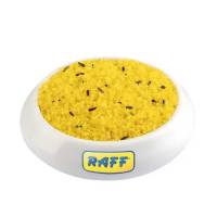 Holland Cova Raff Birds Pasta de Cria Pájaros - Alimento para Canarios con alto valor nutricional y sabroso - details 0