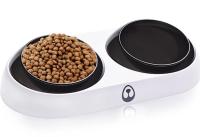 Cuenco para perros y gatos, cuenco antideslizante para mascotas, cuenco extraíble para gatos y perros, soporte elevado inclinado 15°, para gatos, cachorros y perros pequeños - details 0