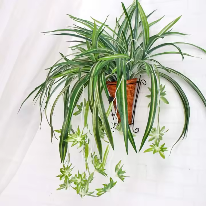 HORO.ES Planta de araña 3PCS artificial de imitación de clorophytum Comosum para decoración del hogar, hotel, seda, 5 ramas, 35 hojas, 12 flores, 60 cm de largo colgante - 1