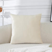 Cubiertas De Cojín Suaves De Terciopelo 45x45cm Lavables Cubierta De Almohada Decorativa Cuadrada JAF093 Para Sofá Silla - details 6
