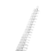 Kit De Limpieza Para Instrumentos De Viento Cepillo De Manguito Para Trompeta Accesorios De Cuidado Y Mantenimiento De Materiales Resistentes - details 9