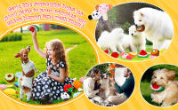 50PCS Juguetes Squeaky Para Perros De Tamaño Pequeño Y Medio Peluches Juguetes De Mascotas Lindos Regalo De Cumpleaños Para Perros Cachorros - details 3