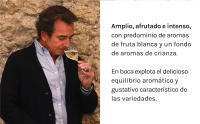 Cava Parxet Brut - DO Cava - Caja 6 botellas 75cl - details 4