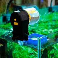 Alimentador De Pecera Automático Inteligente Con Capacidad Grande Para Acuarios De Peces Dorados Y Acuarios LCD De Plástico - details 13