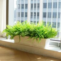 Ferni Artificial De Boston Falso Para Exteriores Plantas Falsas De Interior Esteros Y Hojas Rama De Arbusto Plantas Falsas - details 5