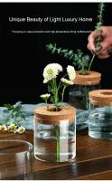 Vaso De Cristal Transparente Para Decoración Del Hogar Vaso Hidroponía Creativo Adorno De Escritorio Arrangement De Flores - details 2