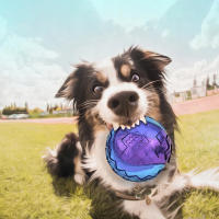 Juguetes Para Perros Gigwi Bola Sonora De Goma Natural No Tóxica Juguete Chupable Para Pequeños Y Grandes Perros Juguete Elástico Divertido Para Jugar Al Aire Libre - details 12