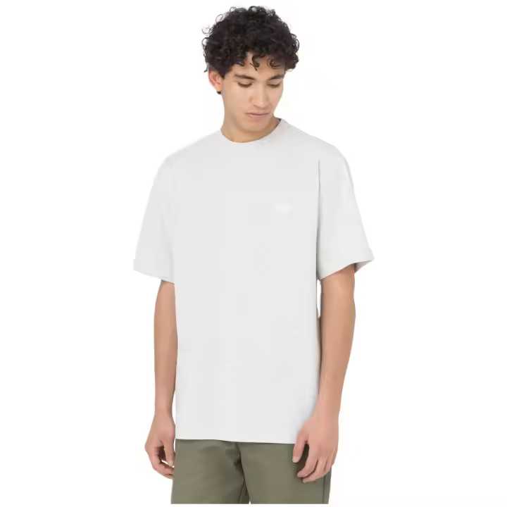 Camiseta de Manga Corta Dickies Summerdale para hombre en color blanco - 1